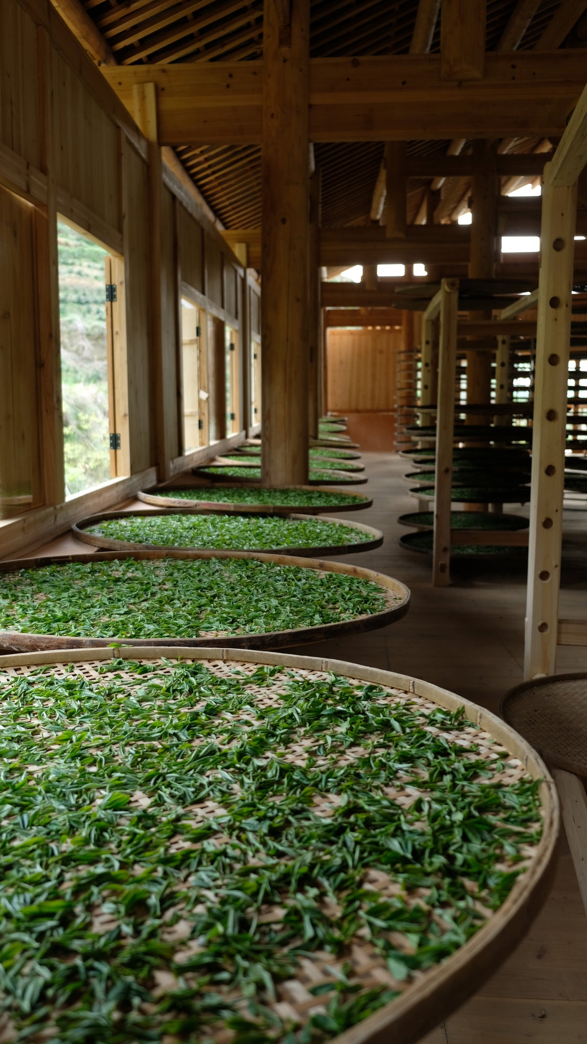 Tea Making Tea Making – PINYETEA
